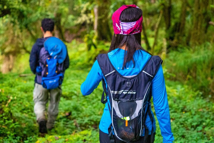 Day pass Iral Cloud Forest trails and lunch - Photo 1 of 17